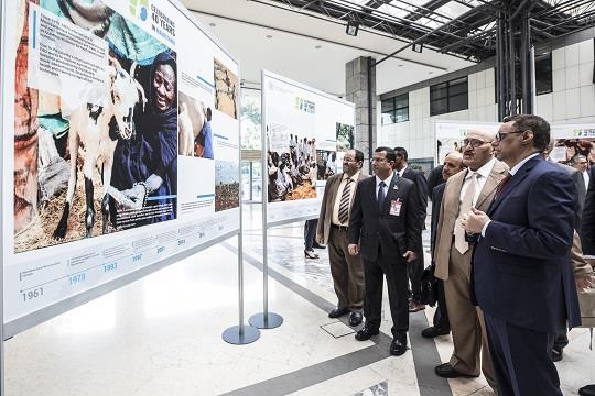 FAO celebrates 40 years of country representations in the Near East and North Africa region
