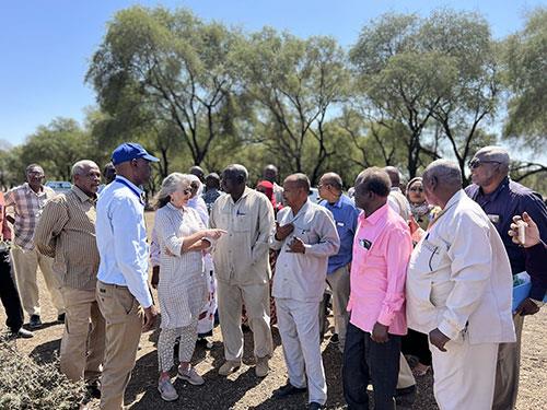 FAO Sudan smallholders and agro pastoralists value chain support in the face of climate change from 6 to 8 March.