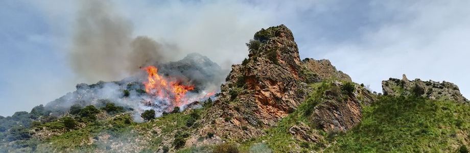 NENFIRE Unites to Tackle Escalating Forest Fire Crisis