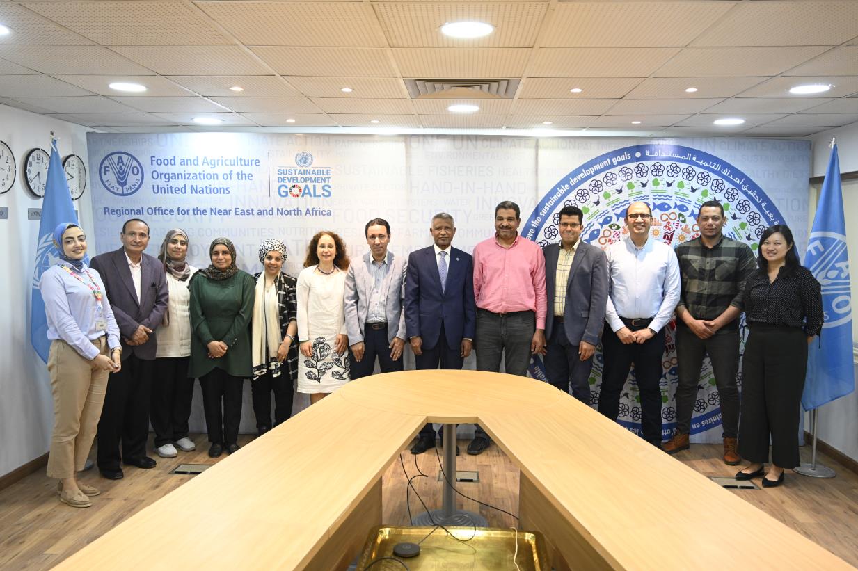 FAO supports Egypt to integrate agriculture into National Adaptation Plan