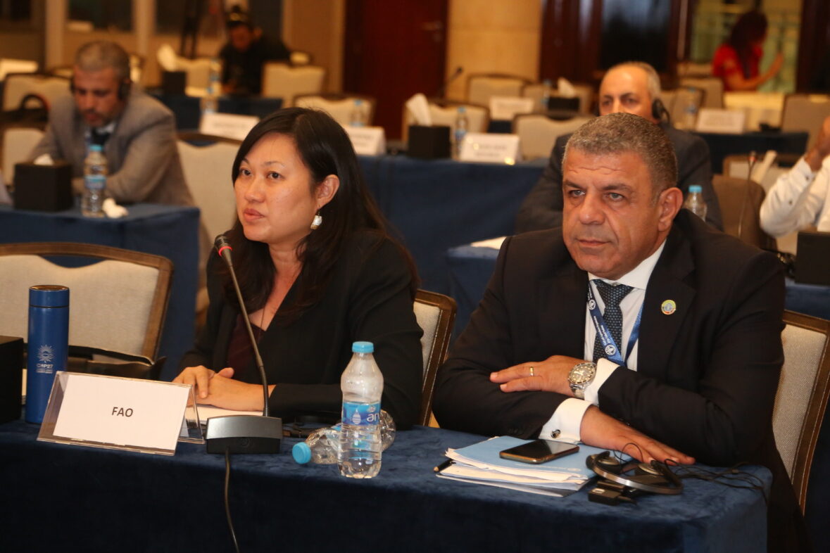 FAO promotes climate change adaptation with dryland forests in the Near East and North Africa Region