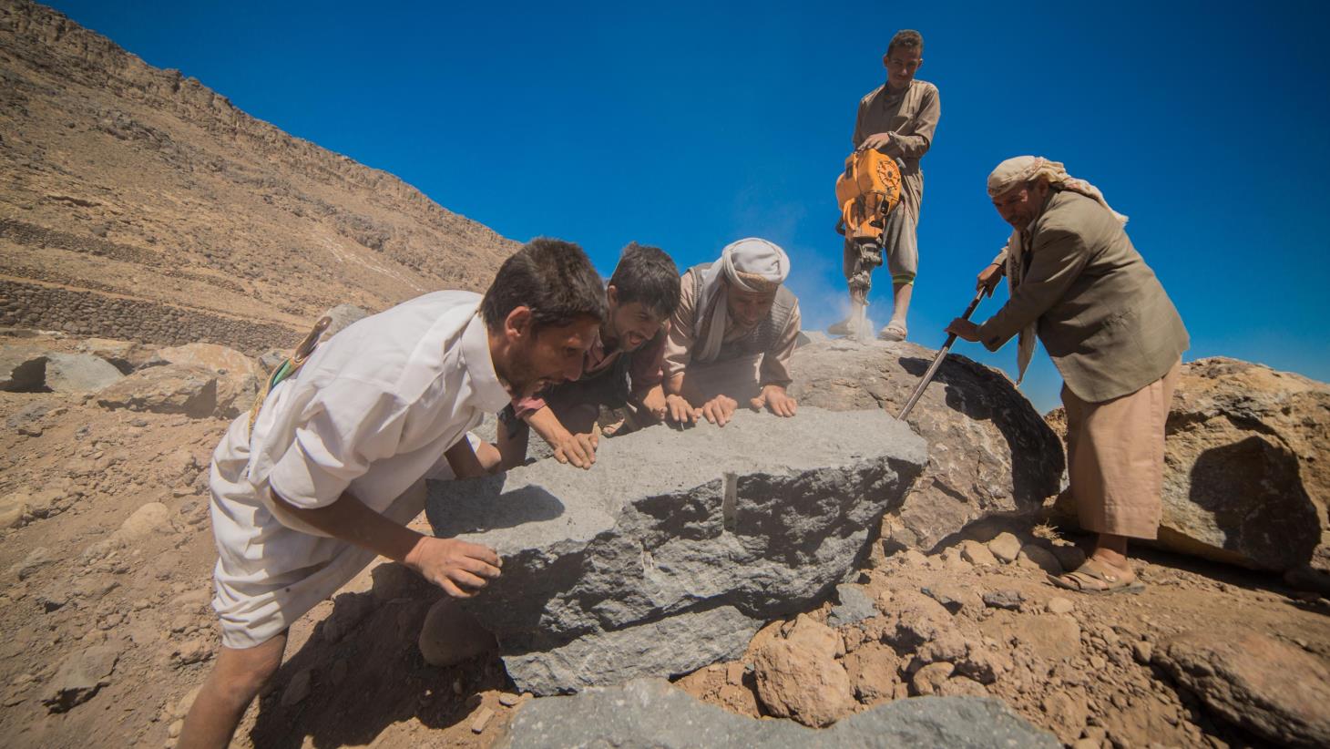 Near East and North Africa endorse FAO’s strategic priorities on transforming agrifood systems