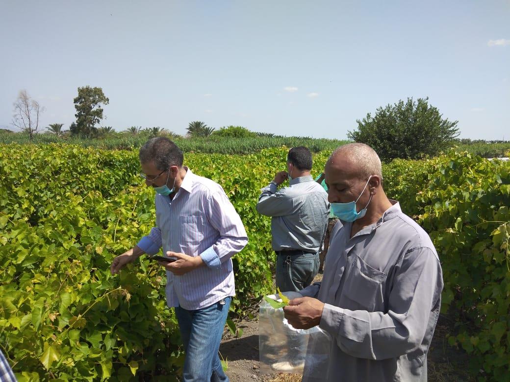 FAO organizes a workshop focusing on major disasters affecting the agricultural sector and food security