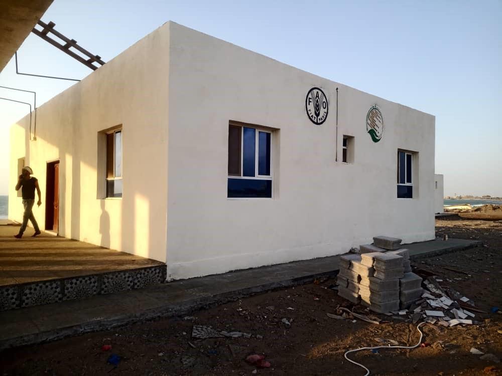 New and refurbished fishery sector facilities boost coastal livelihoods in Yemen