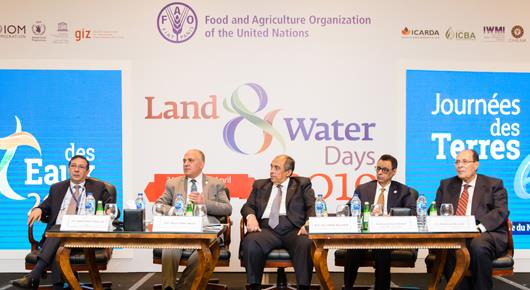 Regional cooperation is key to sustainable agriculture and food security in the Near East and North Africa region