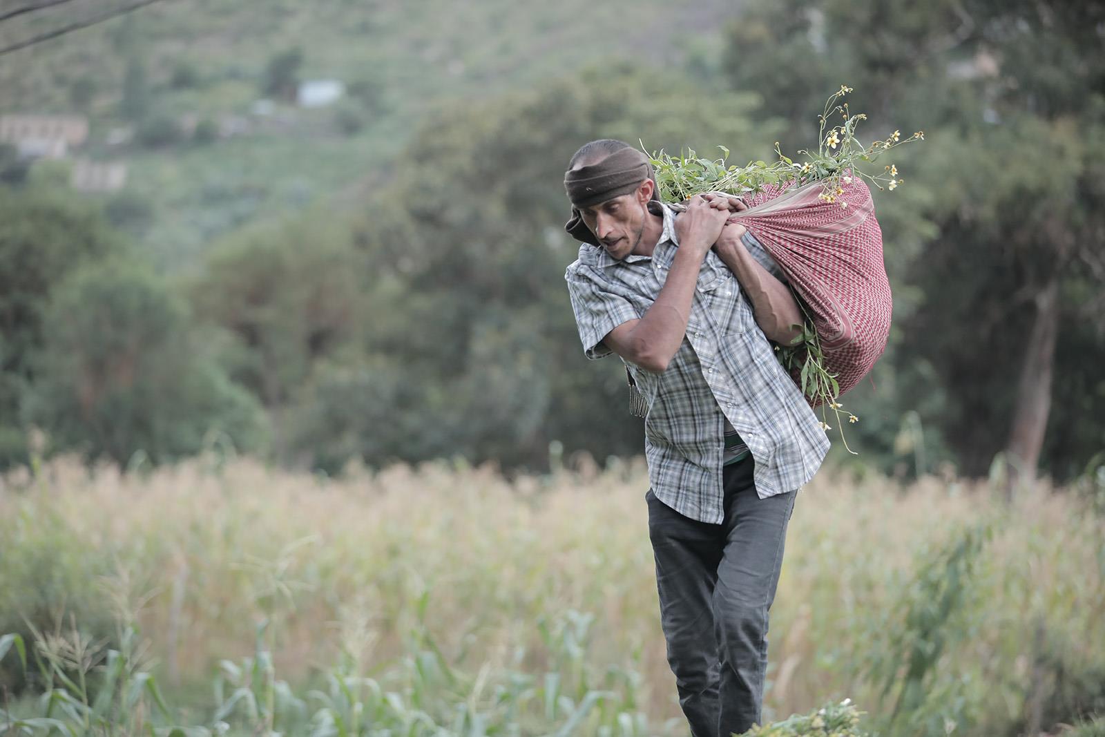 Arab countries transform food systems to enhance resilience against climate change shocks