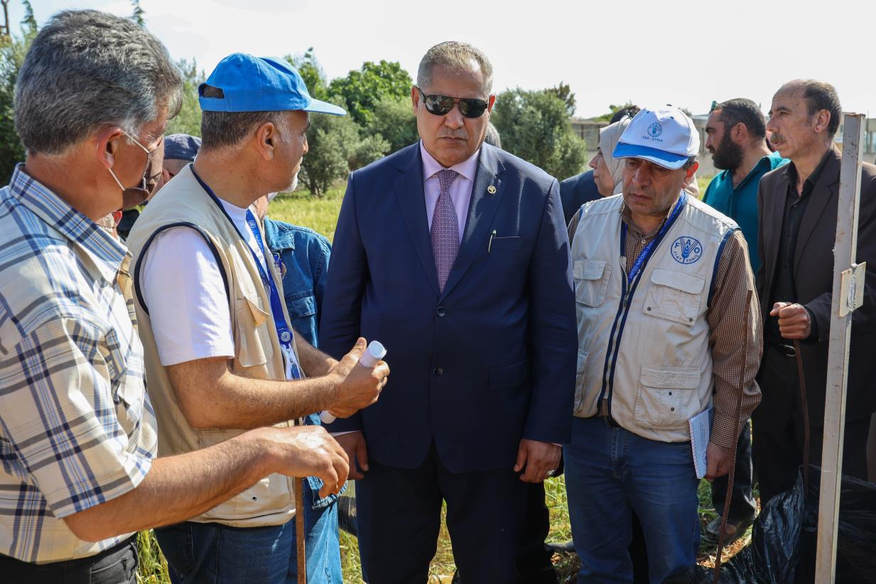 Working together to improve sustainability of food production in Syrian