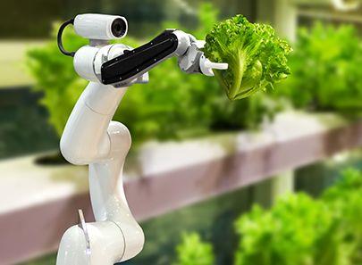 Global Food Systems Under The Microscope As Inaugural Food For Future Summit Launches In Dubai