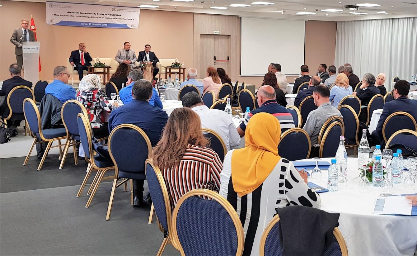 Towards the Establishment of a Public-Private Partnership on Agricultural Extension