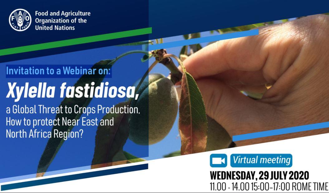 Webinar on Xylella Fastidiosa: A global bacterium threat invading the Near East and North Africa region