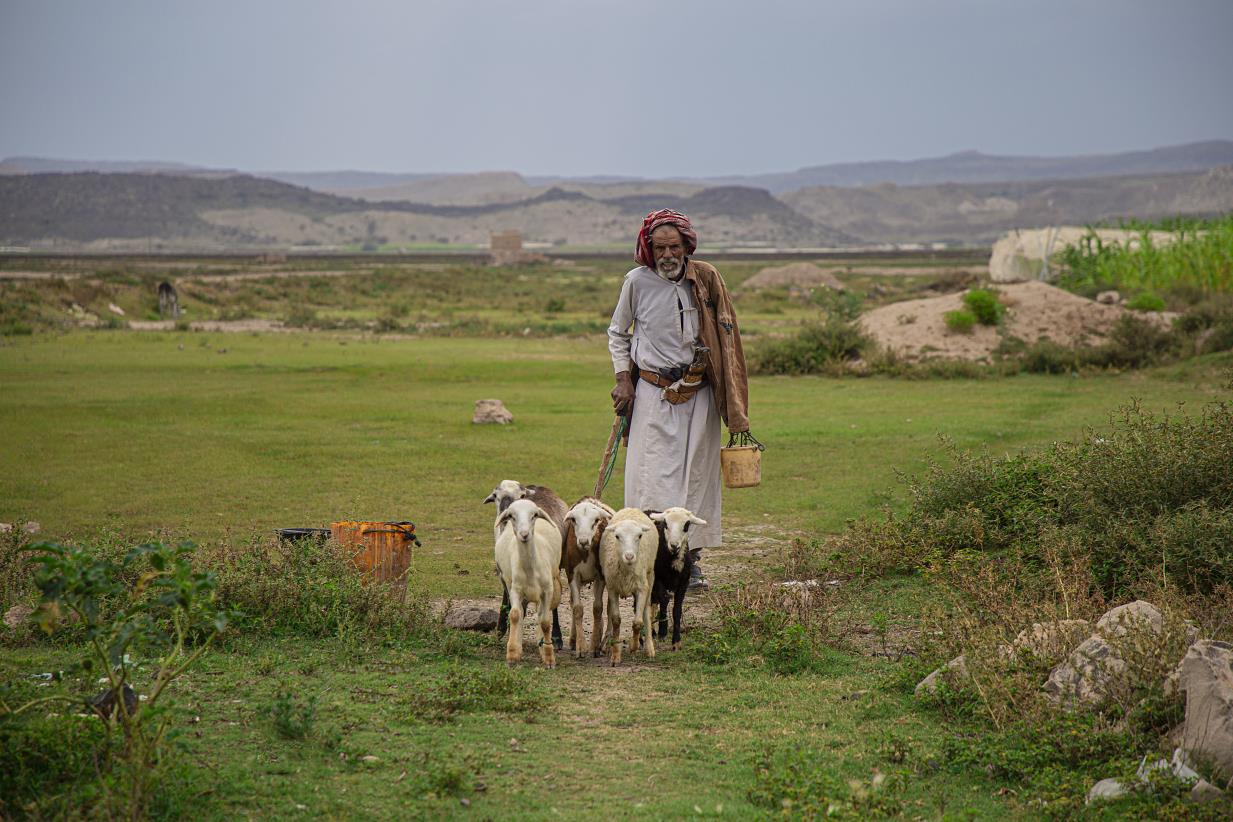 Conflict and economic crisis drive food insecurity and malnutrition in Yemen
