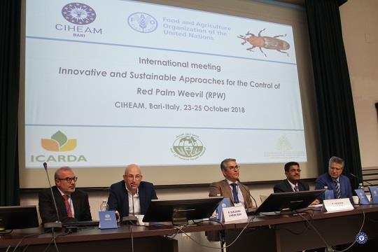 FAO and CIHEAM promote control of Red Palm Weevil