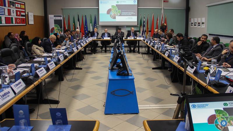 CIHEAM Bari and FAO organize a pre-conference meeting for Transboundary Plant Pests and Diseases