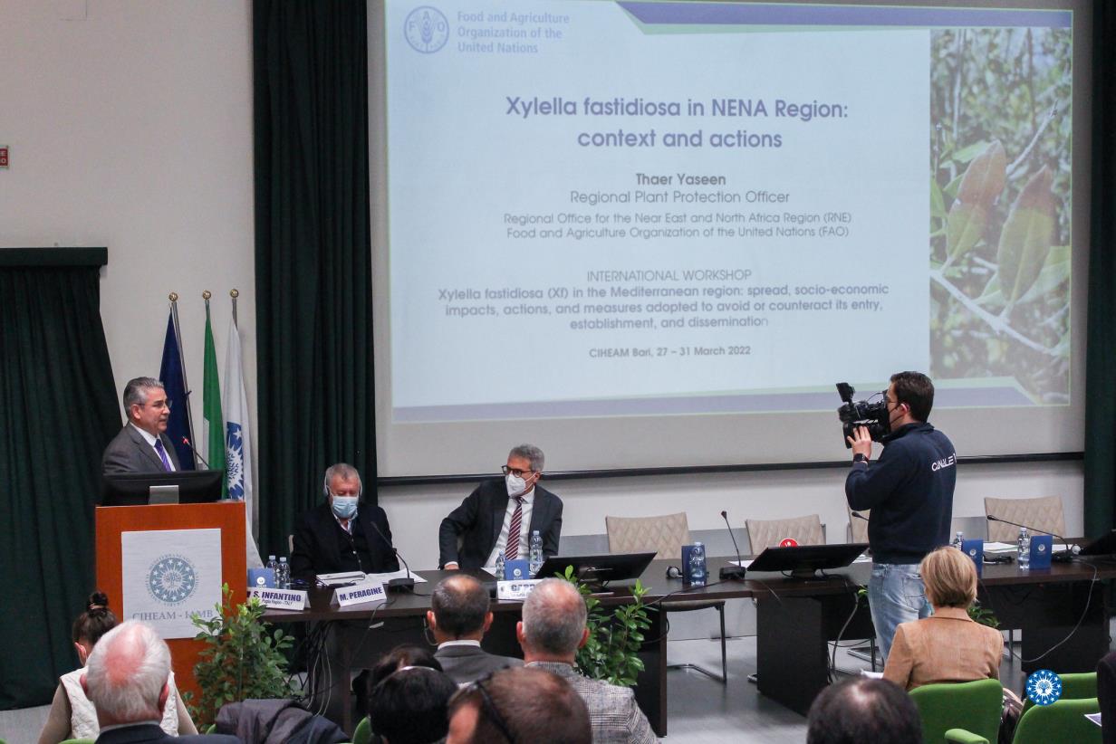 International Workshop Xylella fastidiosa (Xf) in the Mediterranean region