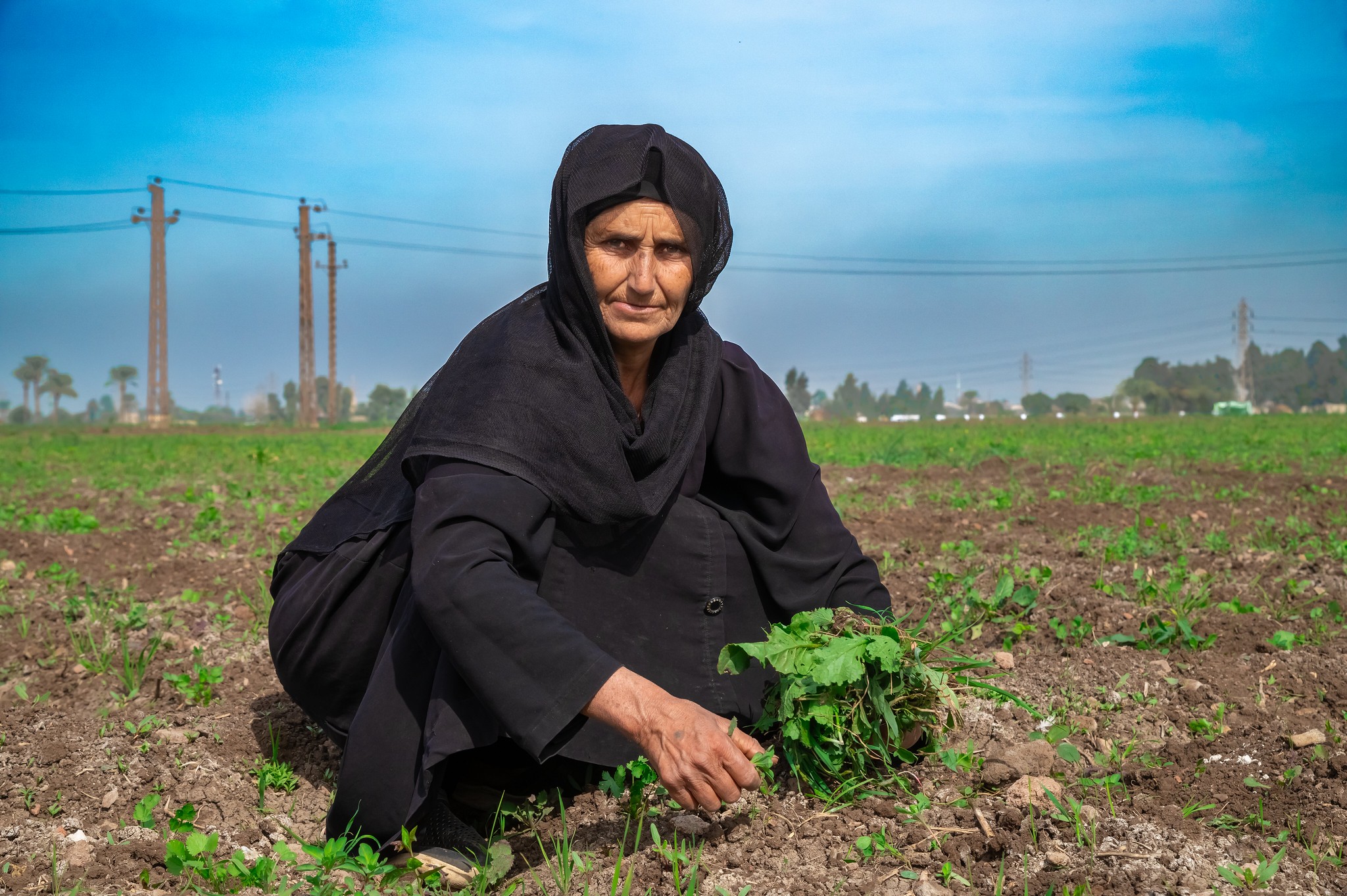 FAO engages with Arab countries to improve preparedness to food safety incidents