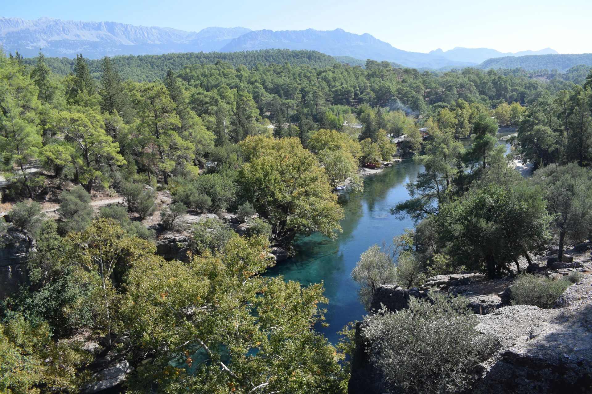 Greater sustainable management needed for Mediterranean forests - new FAO report