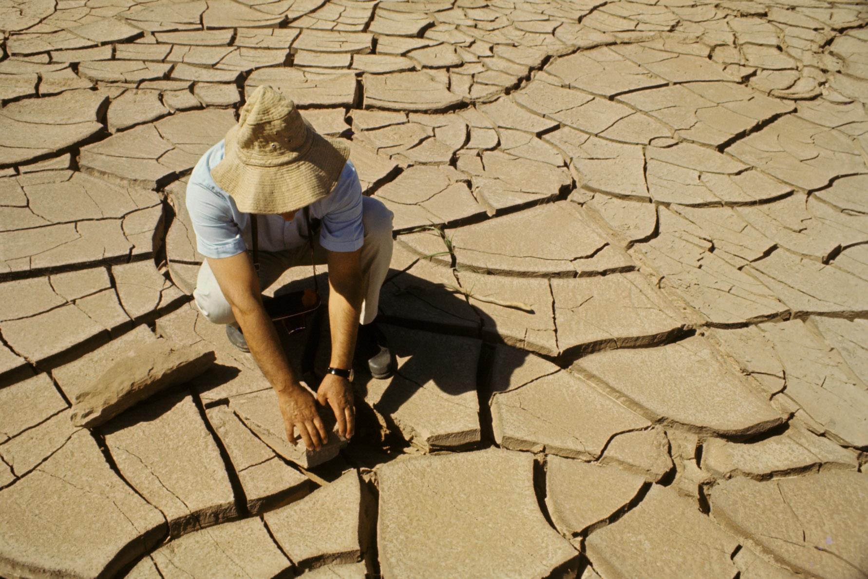 FAO boosts Iranian experts’ knowledge of agricultural water saving and water productivity