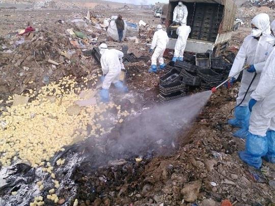 UN allocates USD 250 thousand to Libya's fight against deadly zoonotic diseases
