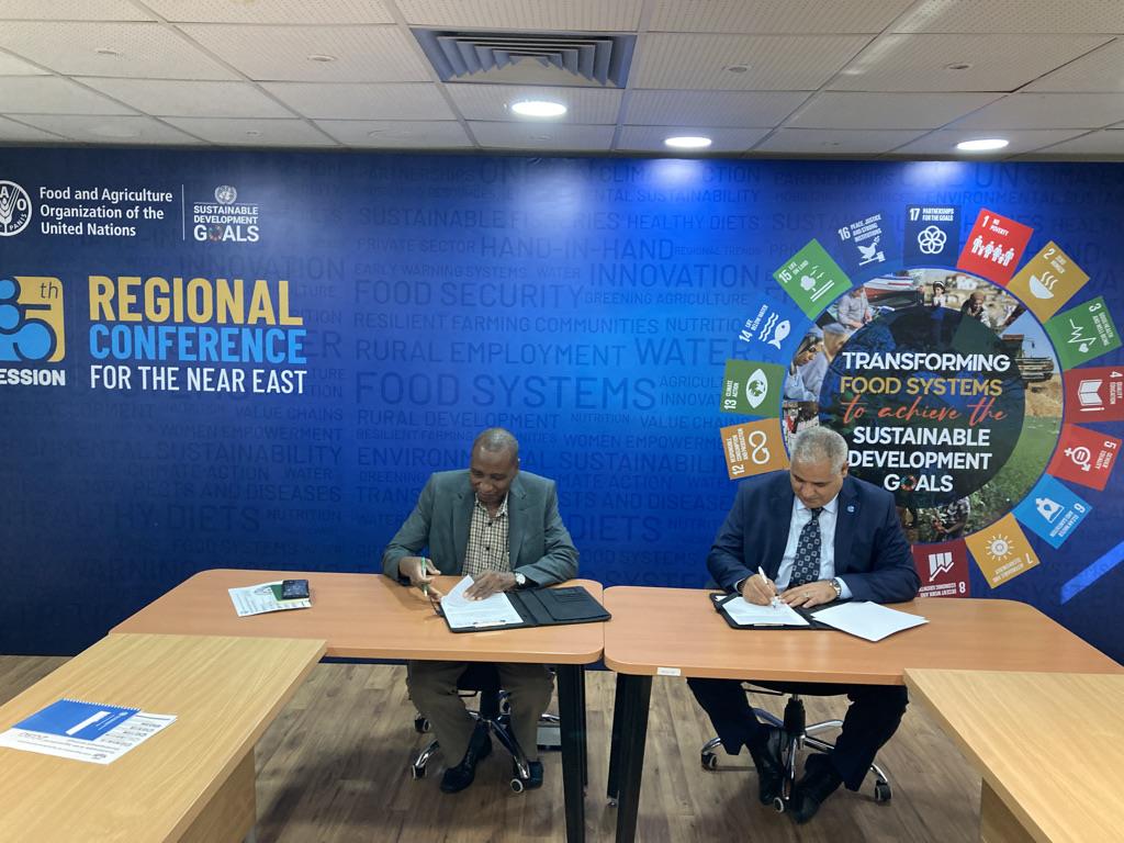 FAO and the AOAD drive efforts for palm protection and red palm weevil control