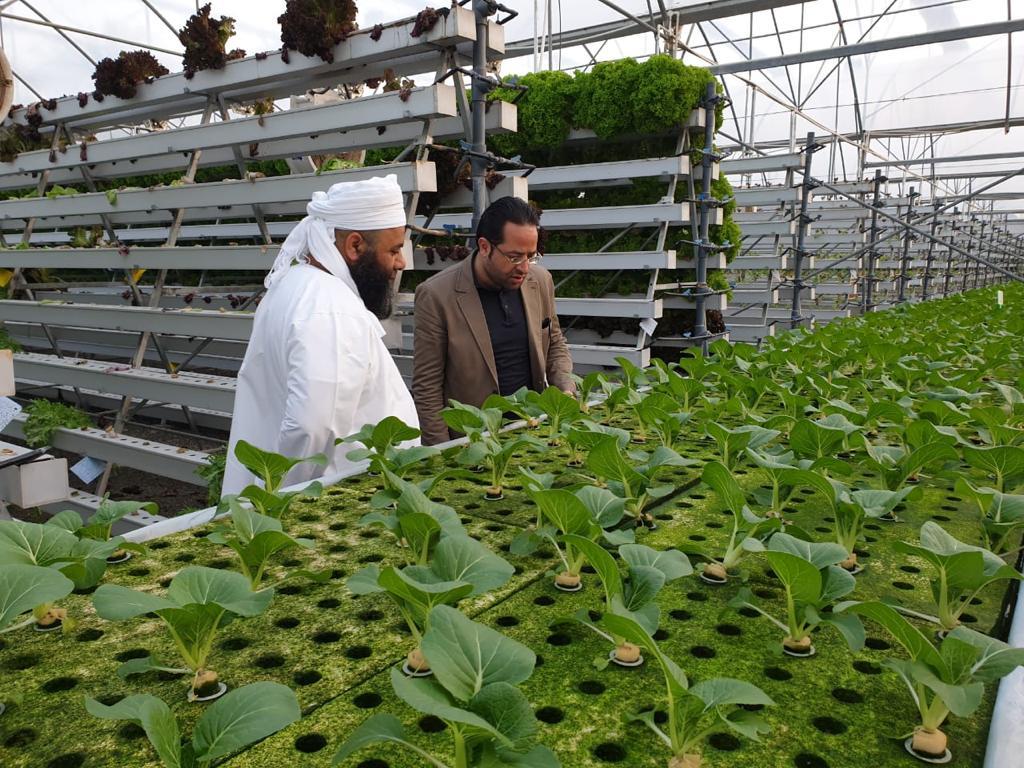 Omani family farmers: collective action, collective support