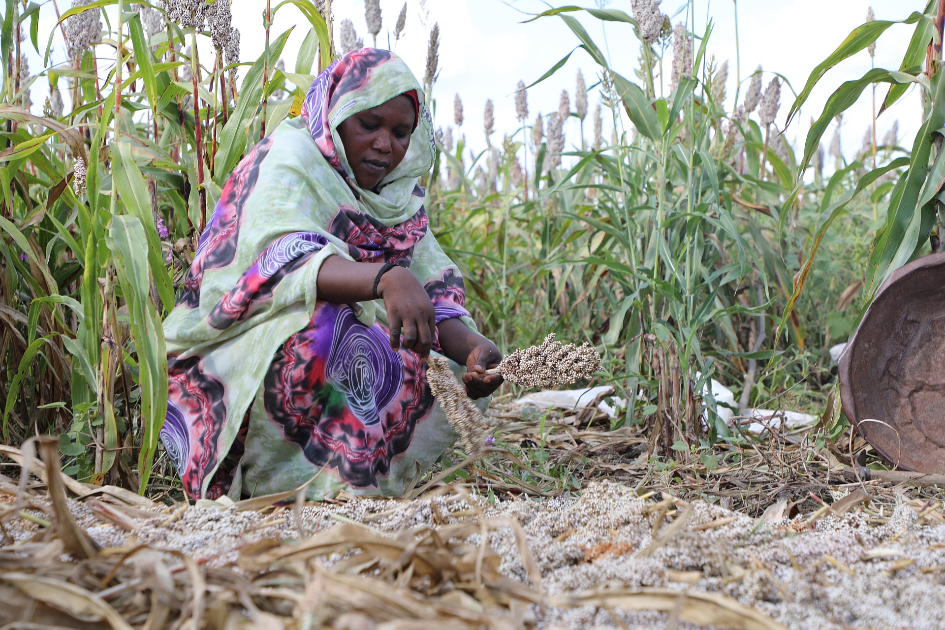 FAO and Government of China sign agreement to support conflict-affected households in Sudan