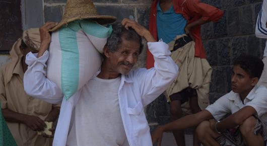 Yemen: Japan and FAO roll-out seed distributions to farmers