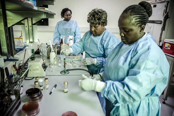 Stronger governance needed to fight superbugs in Africa