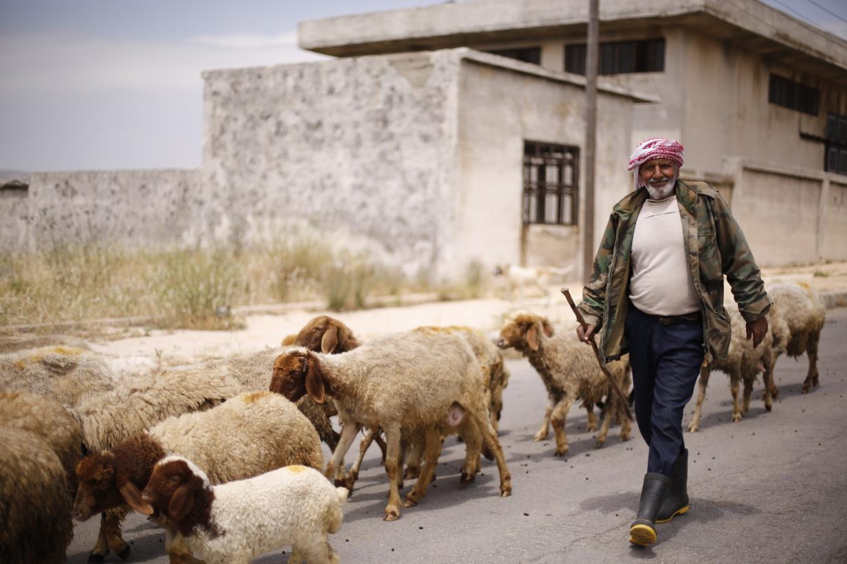 Animal Health Diagnostic Laboratory operates again after immense destruction in Aleppo