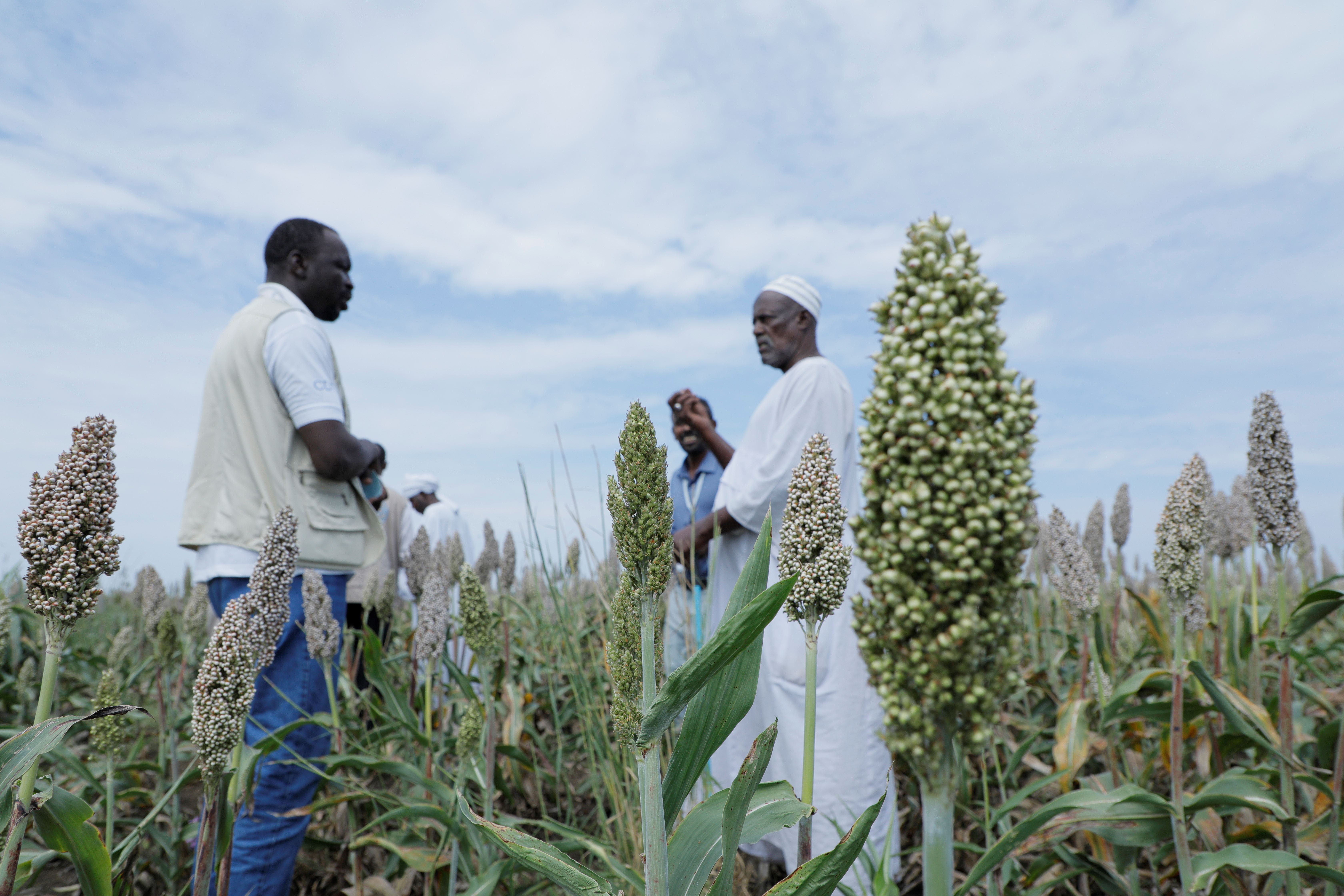 Sudan is facing an unprecedented hunger catastrophe, say UN agency chiefs
