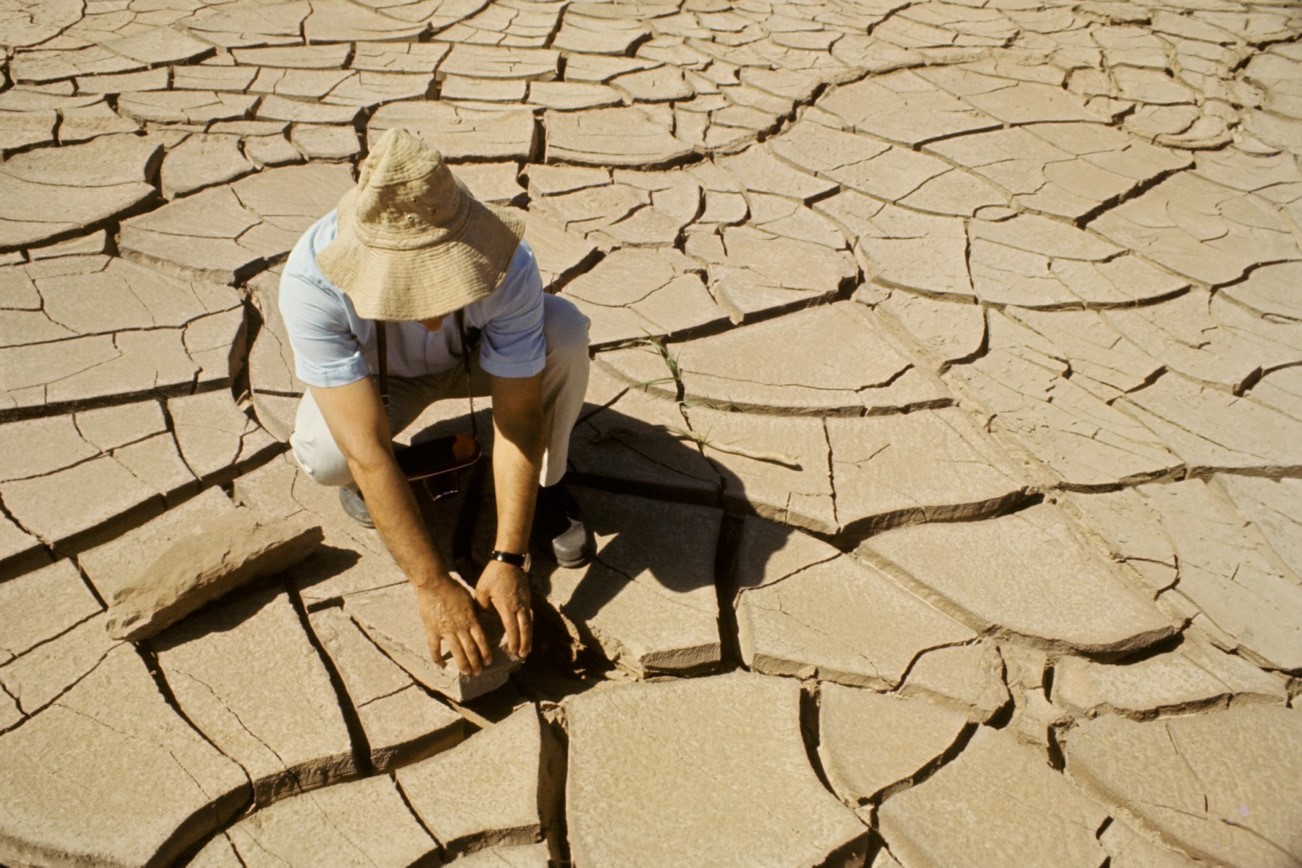 Adapting to change: new FAO publication on climate change, migration and rural adaptation launched at COP28