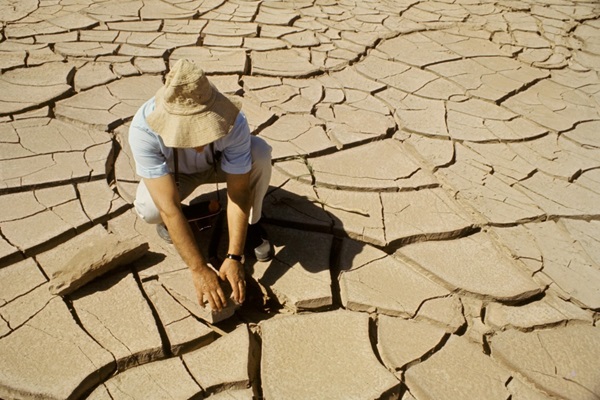 Adapting to change: new FAO publication on climate change, migration and rural adaptation launched at COP28