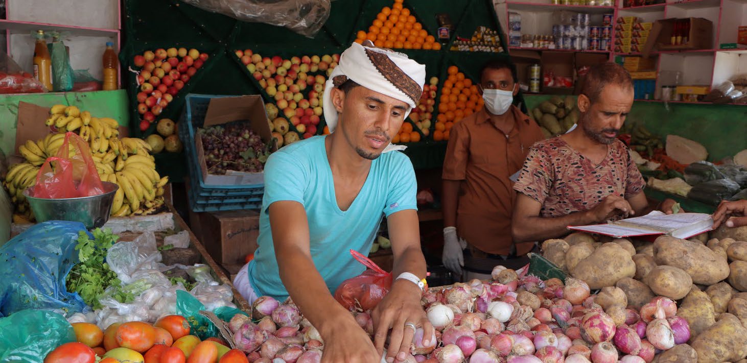 Arab countries need to scale up innovative financial resources to transform agrifood systems