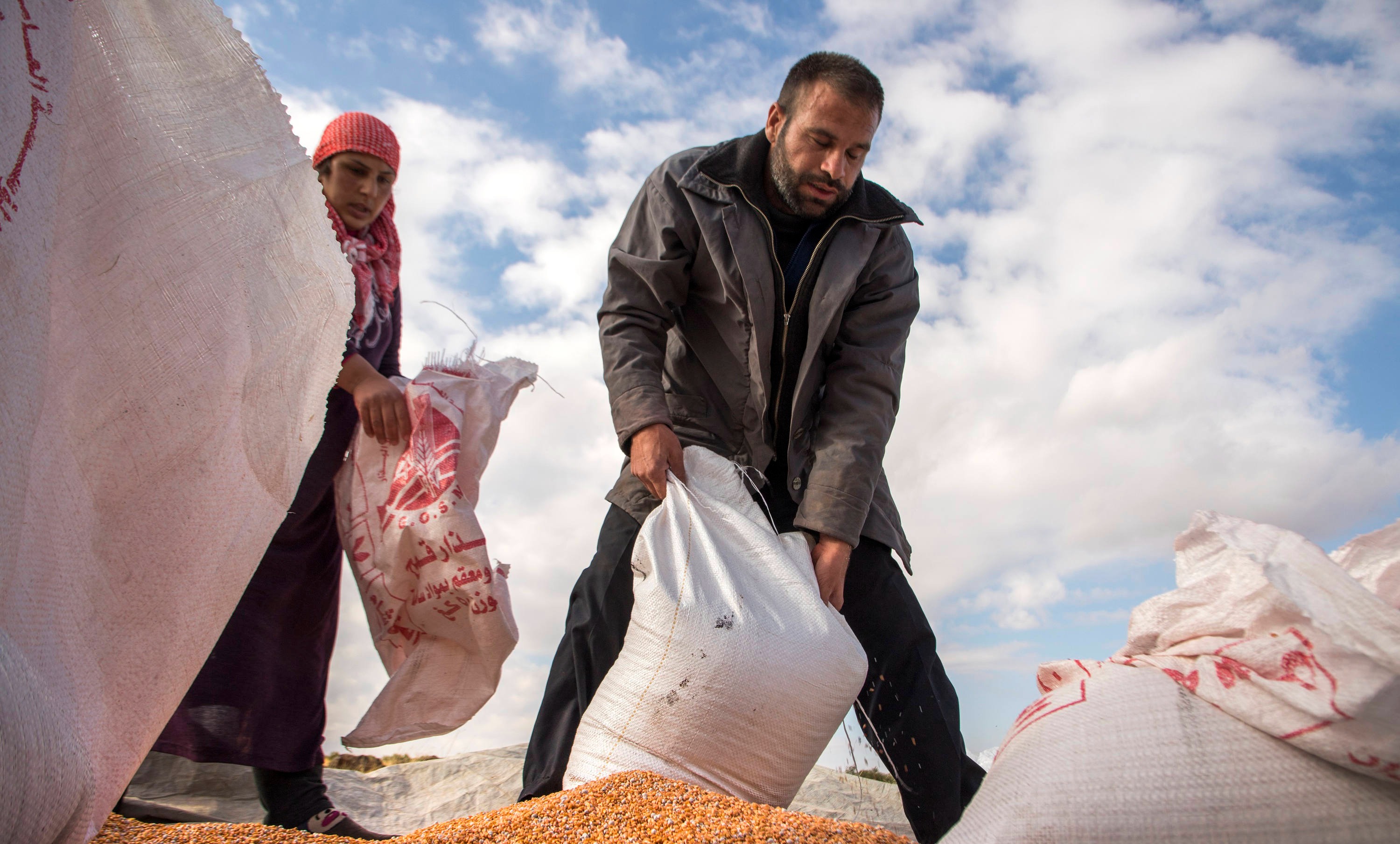 Arab countries scale up resilience of agrifood systems against shocks