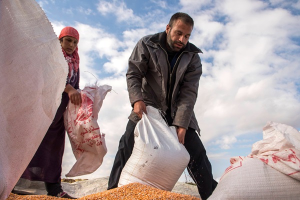 Arab countries scale up resilience of agrifood systems against shocks