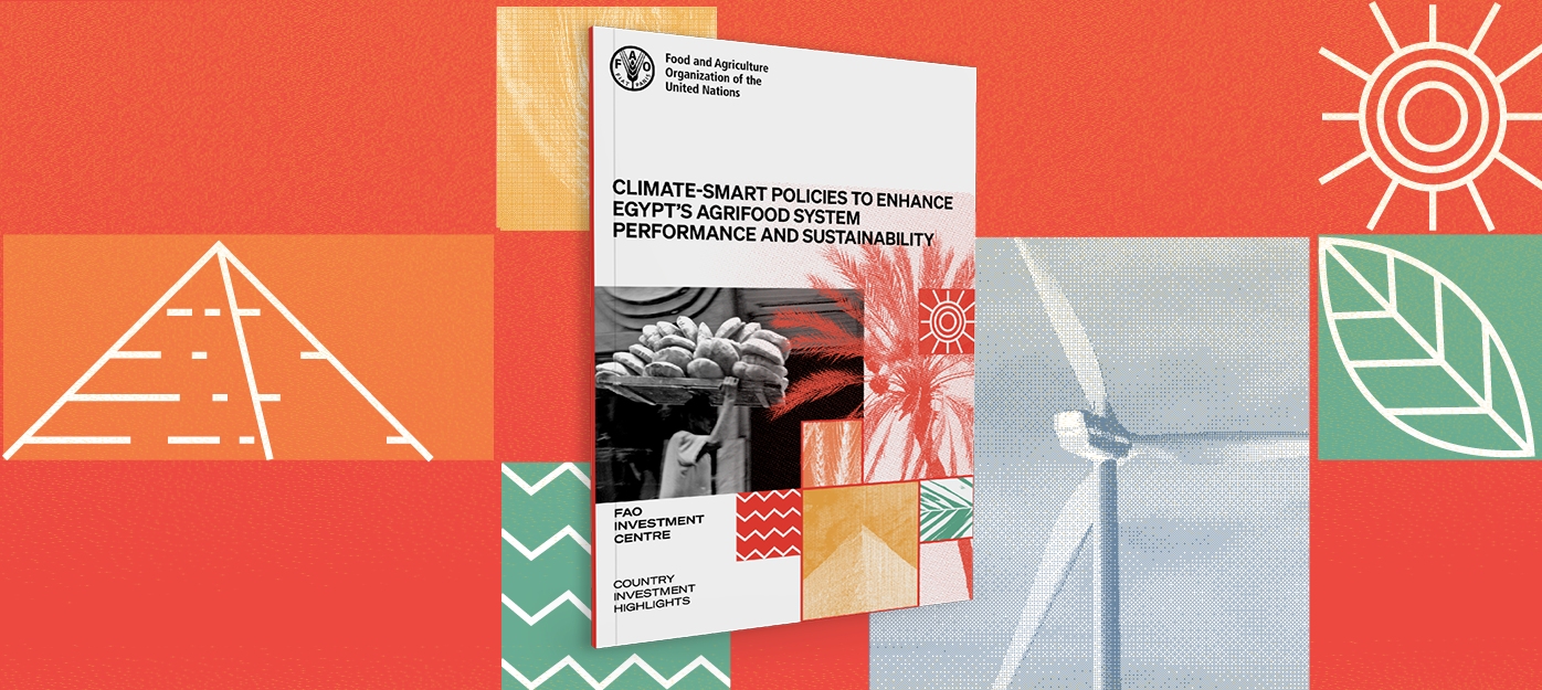 Redefining resilience in Egypt's agrifood future