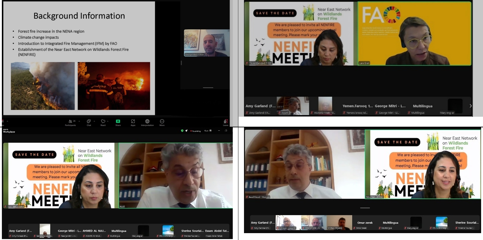 NENFIRE meeting drives regional collaboration on wildfire prevention and response