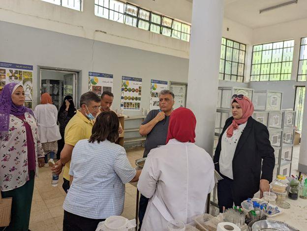 FAO Organizes a Program for Training and Exchanges of Expertise in the Field of the Biological Control of Fall Armyworm