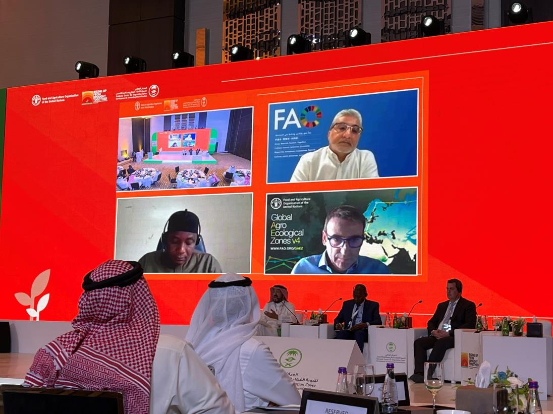 FAO participates in the Kingdom of Saudi Arabia World Desertification and Drought Day 2022