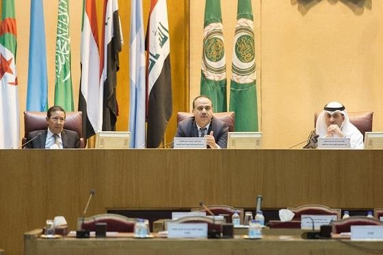 Declaration Article
