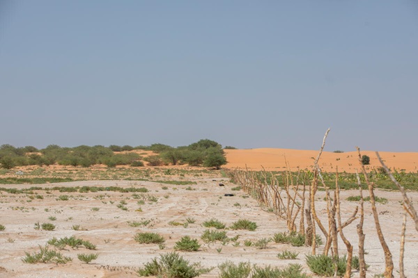 desertification
