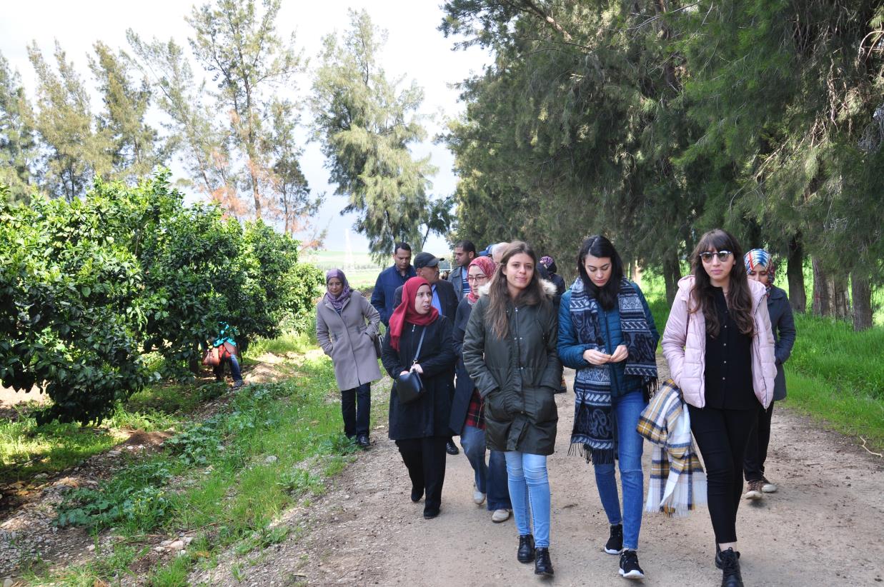 FAO supports the establishment of a master’s degree in water productivity in Tunisia