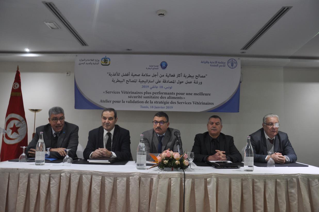 FAO Supports Veterinary Services in Tunisia to Develop an Innovative Strategy for the Coming Decade (2018-2030)