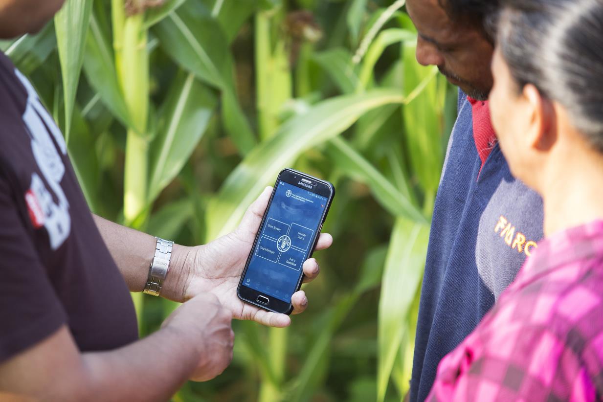 Op-Ed: The fourth agriculture revolution, rural Jordan going digital