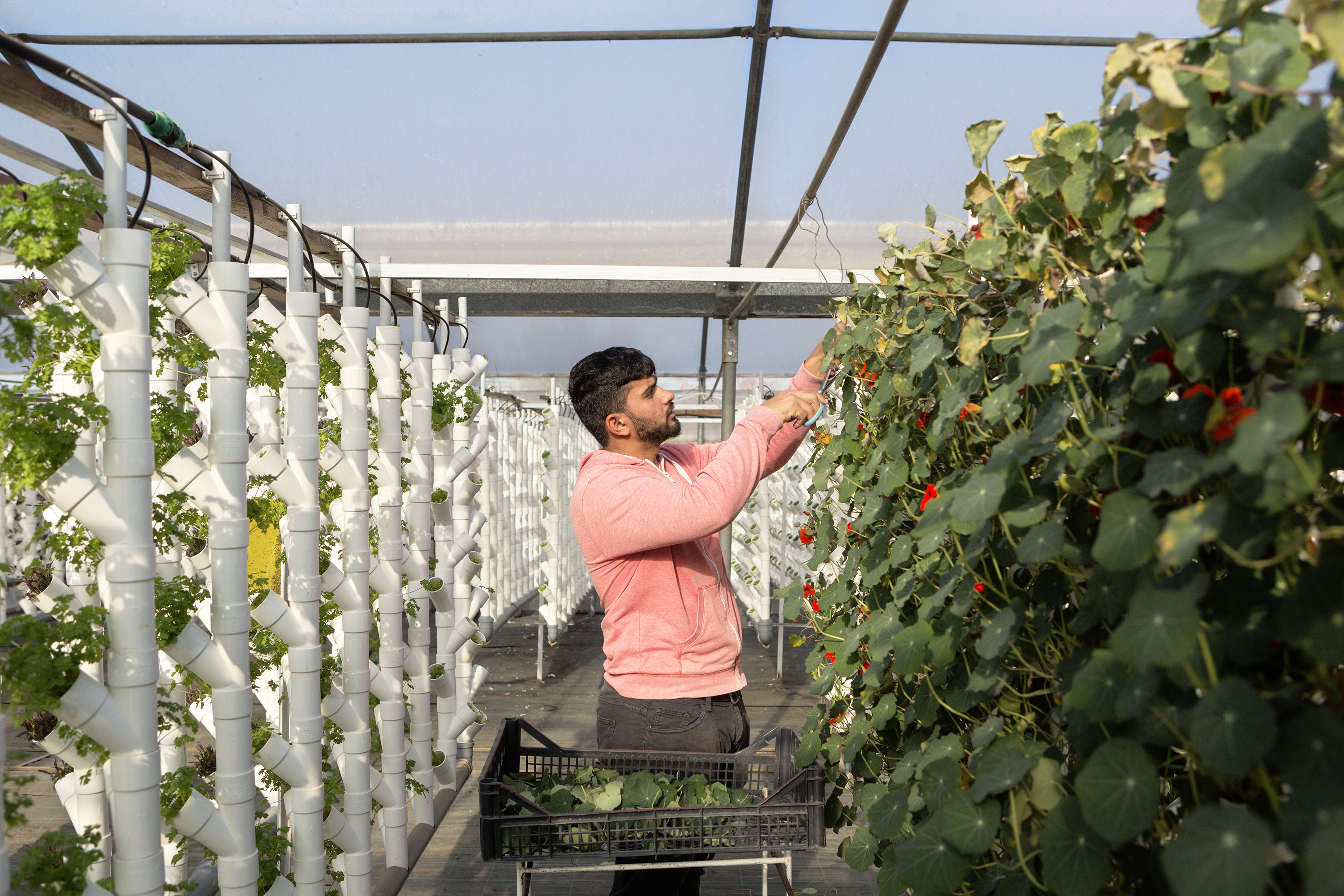 FAO, IsDB, and IFAD Collaborate to Strengthen Food Security Technologies for Smallholder Farmers