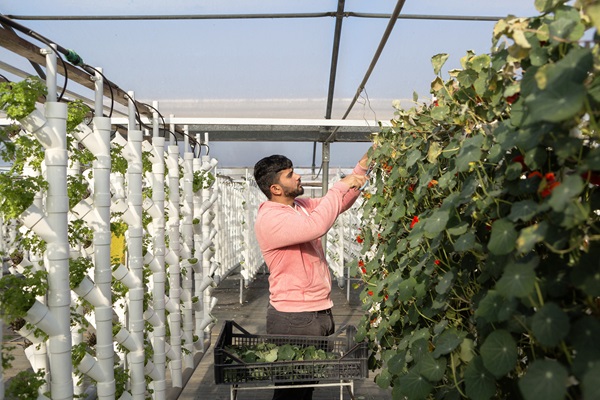 FAO, IsDB, and IFAD Collaborate to Strengthen Food Security Technologies for Smallholder Farmers