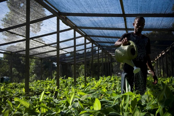 fao-launches-multi-country-project-to-boost-investment-in-climate-resilient-agrifood-systems