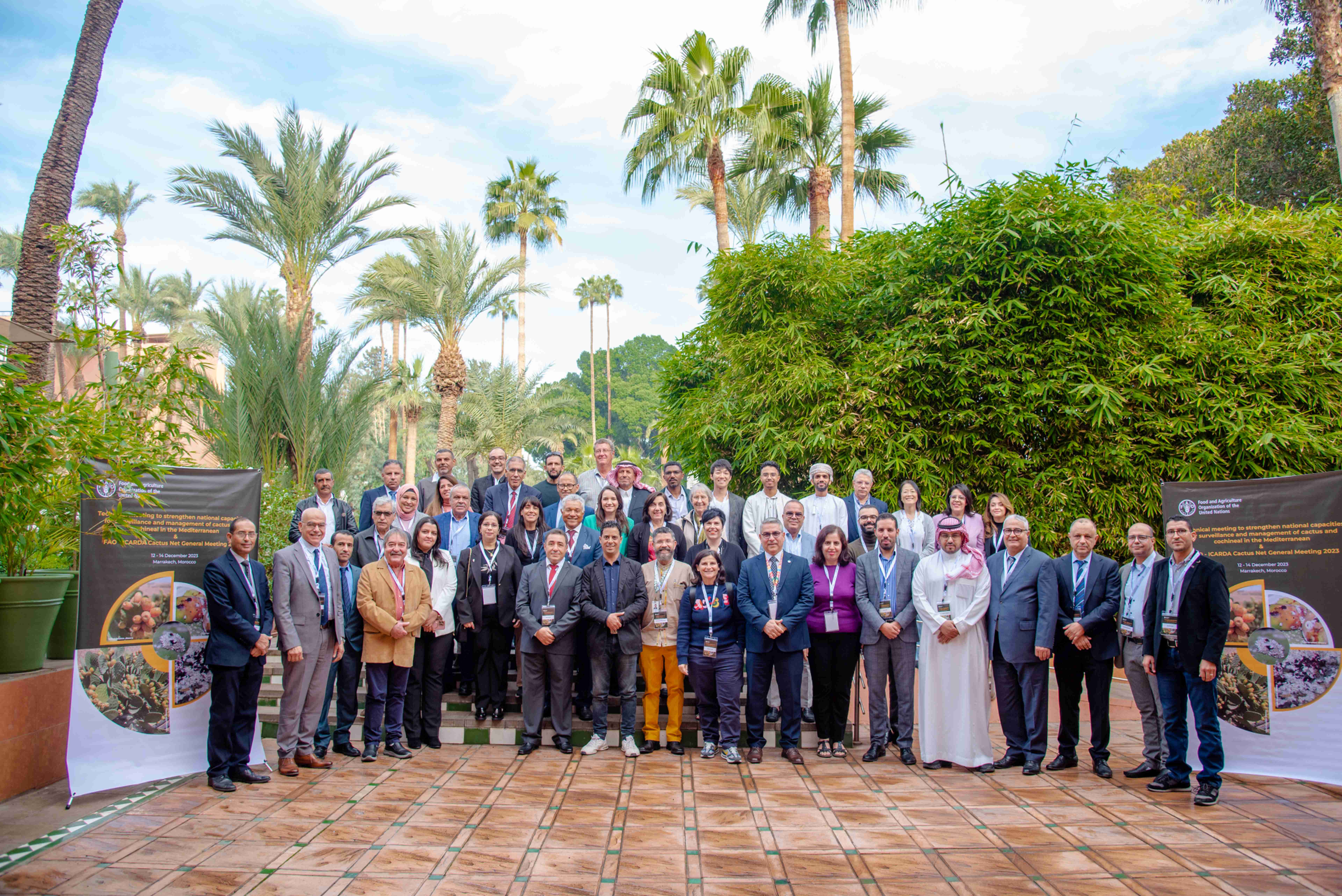 FAO strengthens national capacities to surveillance and manage cactus cochineal in the Mediterranean.