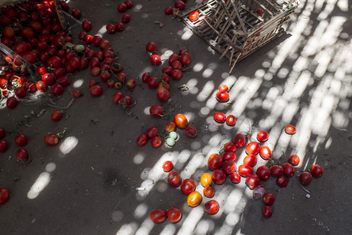 Measuring and Monitoring Food Loss in NENA