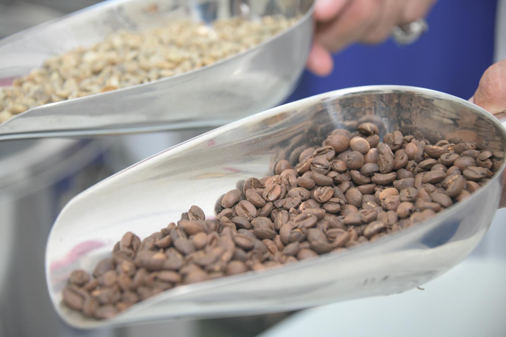 Improving post-harvest management of coffee in Saudi Arabia