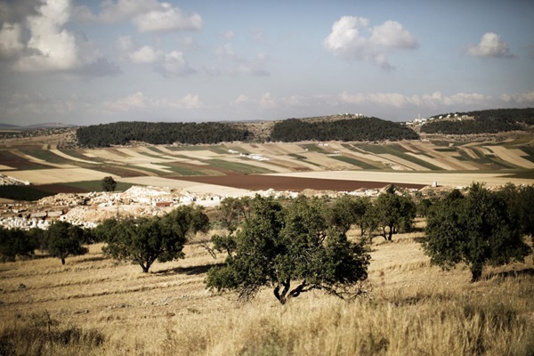 FAO_24767_54052